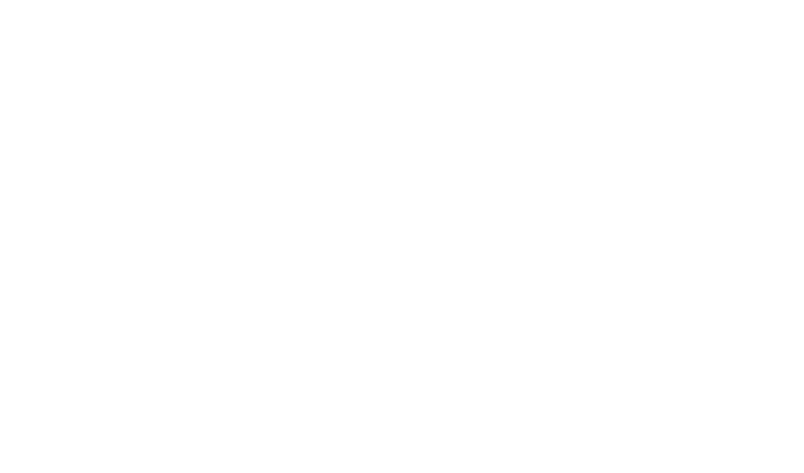 Precision Auto Spa